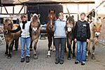 Wir und die Pferde